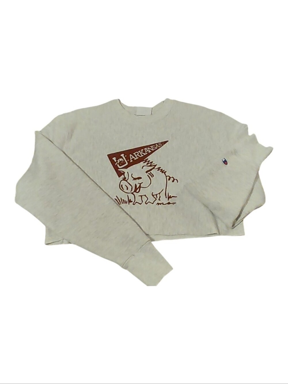 Champion Raw Hem Cropped Sweatshirt Cute Arkansas Razorback Pennant Size Small